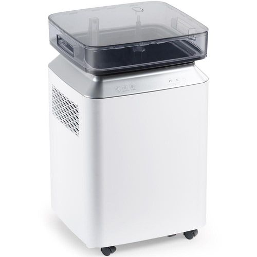 top deshumidificateur compresseur